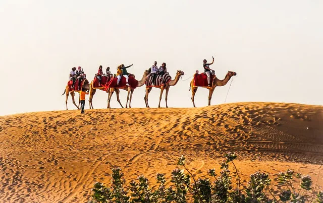 Dubai Red Dunes Desert Safari: Camel Ride & Sandboarding in Sharjah — experience image 7 of 24