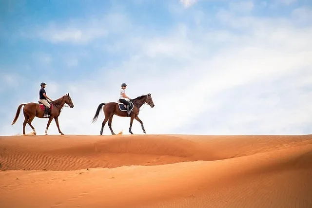 Doha Desert Horse Riding with Instructor & Transfers in Doha — experience image 7 of 8