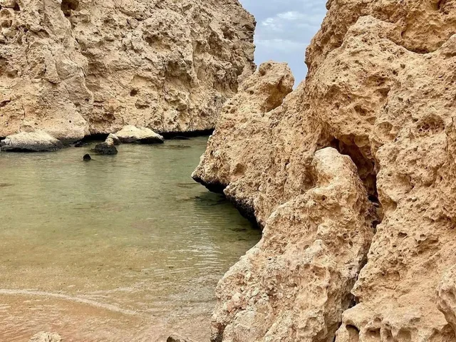 Ras Mohammed Bus Tour: Mangroves, Magic Lake & Reef in Sharm El Sheikh — experience image 28 of 31