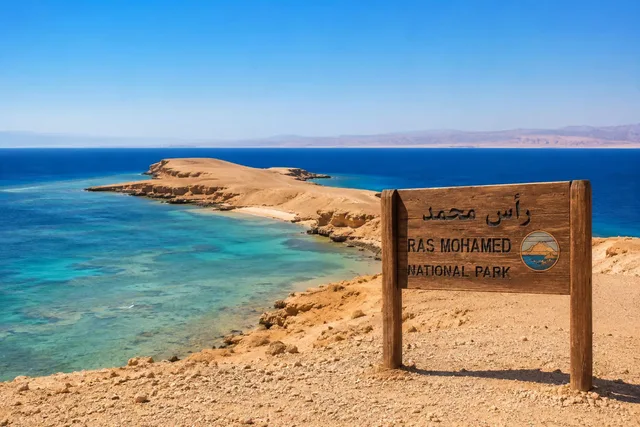 Ras Mohammed Bus Tour: Mangroves, Magic Lake & Reef in Sharm El Sheikh — experience image 21 of 31