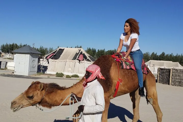 Bahrain Half-Day Desert Tour: Tree of Life & First Oil Well experience in Manama