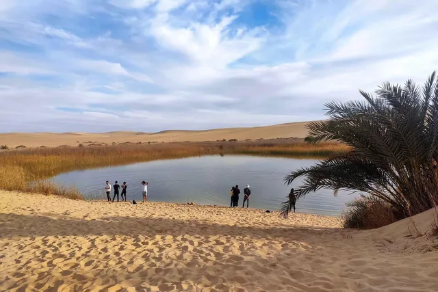 Private Siwa Oasis Day Tour: Salt Lakes & Heritage in Siwa — experience image 43 of 77