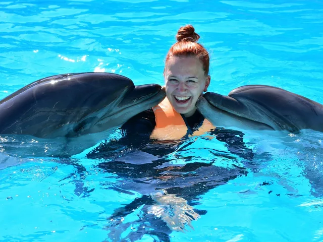 Sharm El Sheikh Dolphin Show Ticket Enquiry in Sharm El Sheikh — experience image 12 of 17