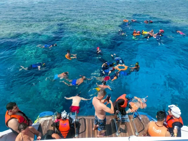 Tiran Island Snorkeling Cruise from Sharm with Lunch in Sharm El Sheikh — experience image 3 of 13
