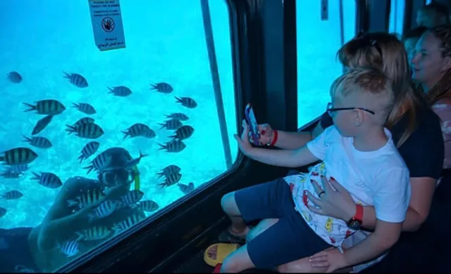 Taba to Sharm Glass-Bottom Boat: Reef Viewing in Taba — experience image 16 of 17