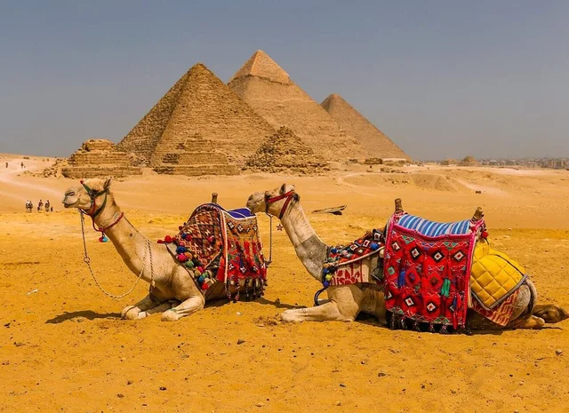 Cairo by Flight from Taba: Giza & Tahrir Museum in Taba — experience image 24 of 33