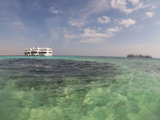 Tiran Island Snorkeling Cruise from Sharm with Lunch in Sharm El Sheikh — experience image 9 of 13