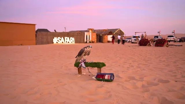 Abu Dhabi Desert Safari Extension: Camel Ride, BBQ & Camp Activities in Al Ain — experience image 2 of 4