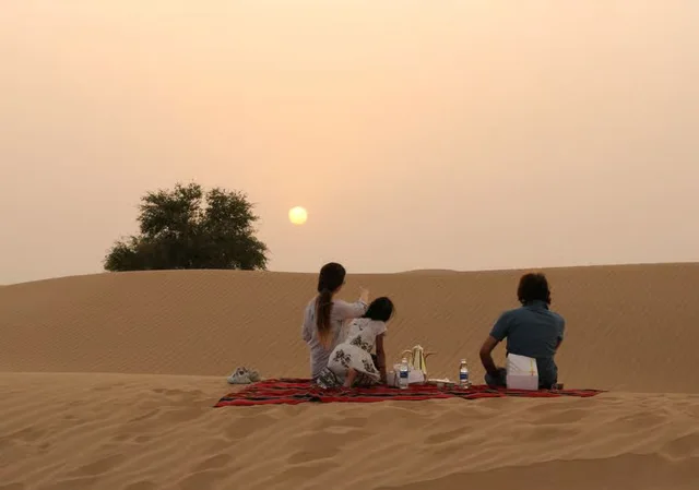 Private Morning Desert Safari Dubai with Wildlife & Al Qudra Lakes in Dubai — experience image 18 of 18