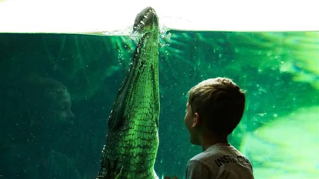 Al Ain Zoo Tickets: General Admission, Safari Truck & Private SUV in Al Ain — experience image 14 of 23