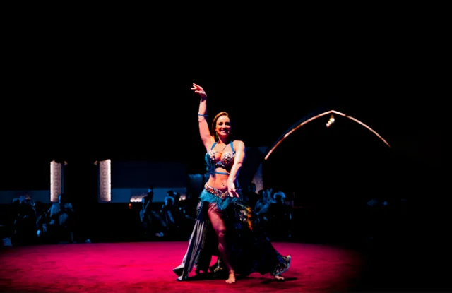 Abu Dhabi Evening Desert Safari with BBQ Dinner & Shows in Abu Dhabi — experience image 11 of 19