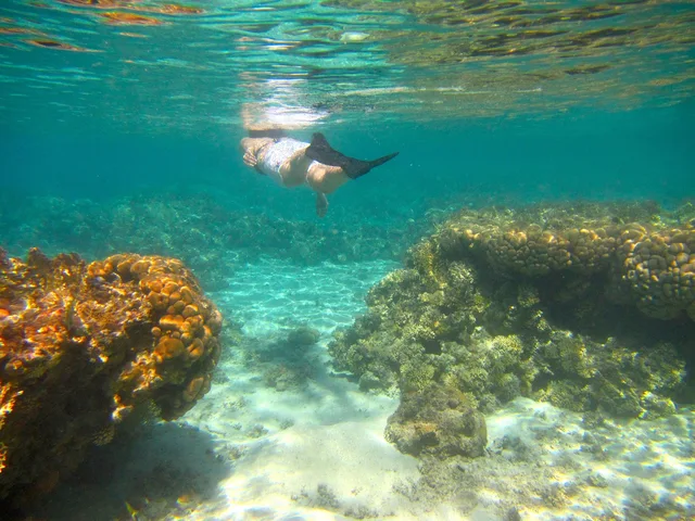 Pharaoh’s Island Snorkeling Tour from Taba with Lunch in Taba — experience image 4 of 17