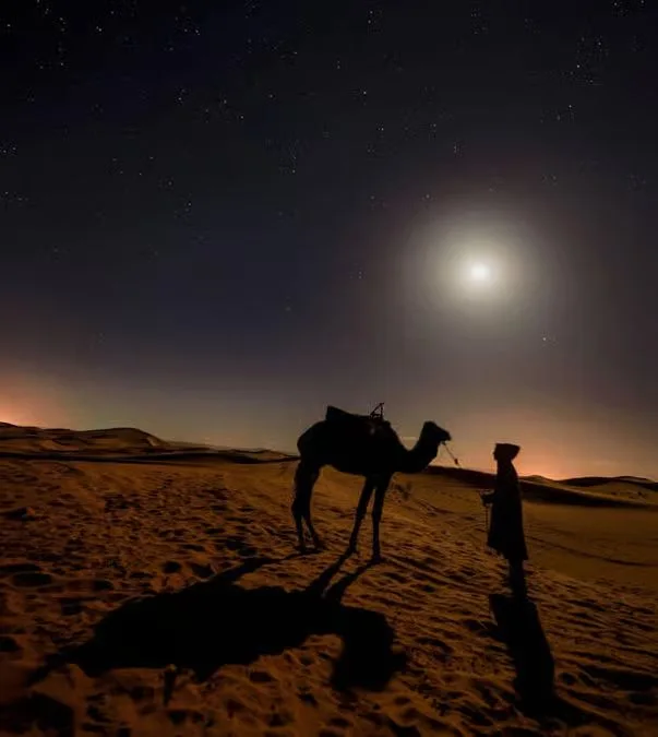 Doha Night Desert Safari: Dunes, Camel Ride & Stargazing in Doha — experience image 5 of 11