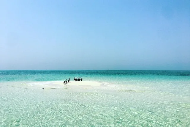 Jarada Island Private Boat Trip from Bahrain: 3 or 6 Hours in Manama — experience image 6 of 12
