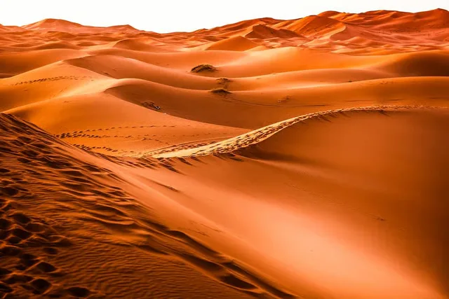 Dubai Red Dunes Desert Safari: Camel Ride & Sandboarding in Sharjah — experience image 16 of 24