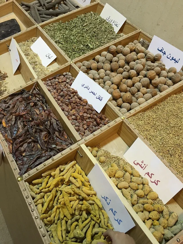 Hili Archaeology & Al Qattara Arts Centre: Private Al Ain Tour in Al Ain — experience image 2 of 22