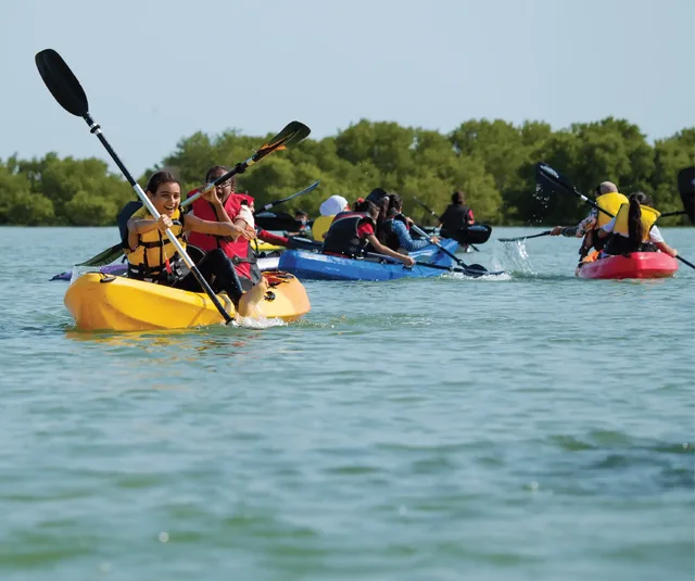 Al Thakira Mangrove Kayaking Tour from Doha in Doha — experience image 6 of 11