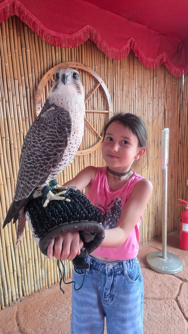Abu Dhabi Evening Desert Safari with BBQ Dinner & Shows in Abu Dhabi — experience image 15 of 19
