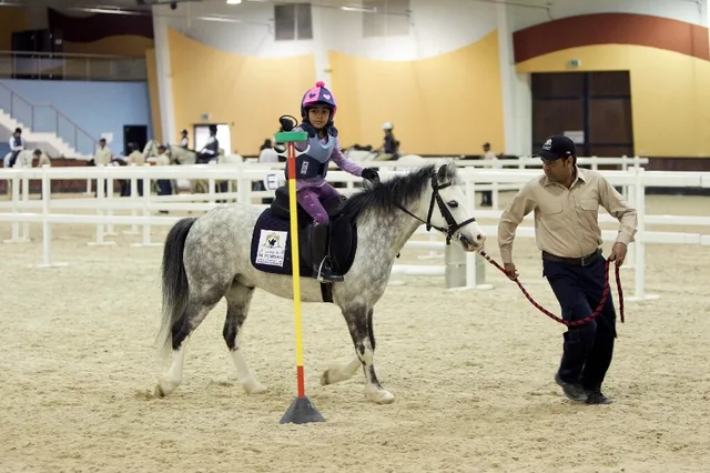 Al Forsan Horse Riding Abu Dhabi: 20-Minute Ride in Abu Dhabi — experience image 7 of 9