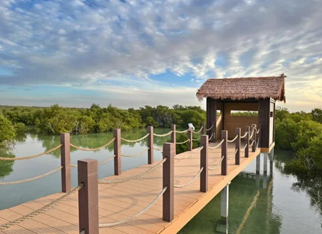 North Qatar Tour: Al Zubarah Fort, Mangroves & Al Khor in Doha — experience image 2 of 10