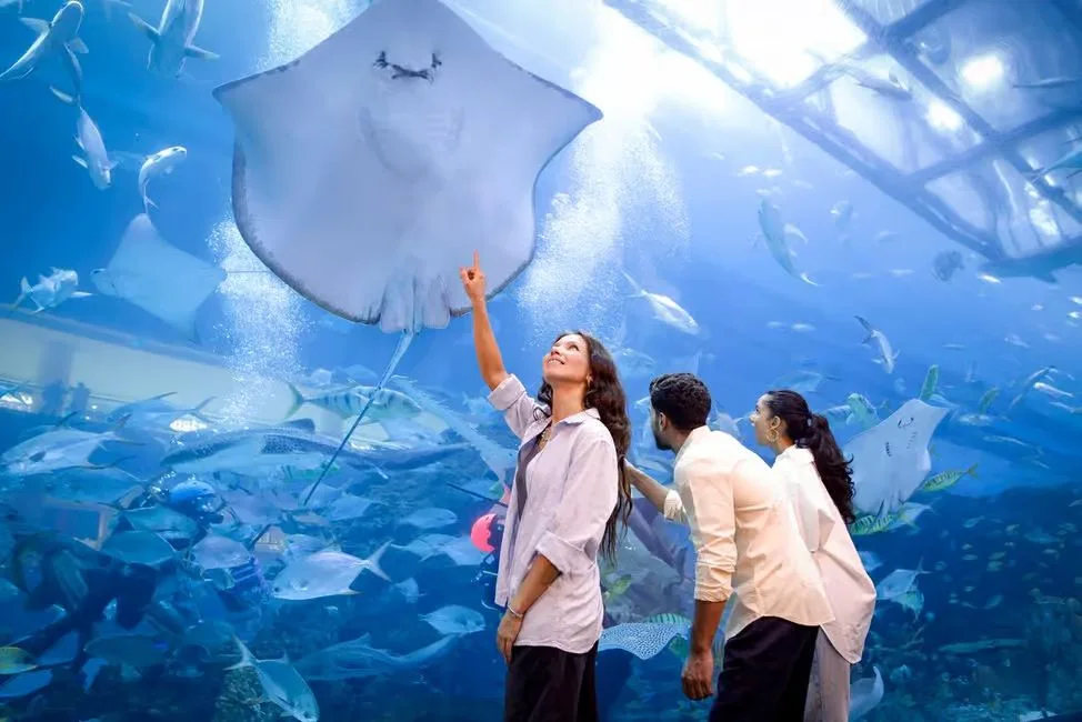 Dubai Aquarium & Underwater Zoo Tickets: Silver, Gold & Encounters experience in Dubai