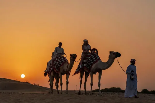 Dubai Evening Desert Safari with Camel Ride & Stargazing in Dubai — experience image 15 of 17