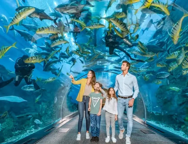 Dubai Aquarium & Underwater Zoo Tickets: Silver, Gold & Encounters in Dubai — experience image 5 of 14