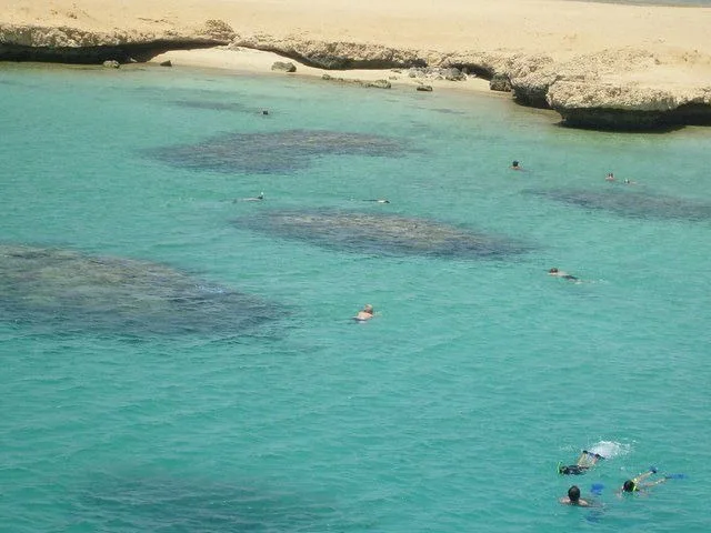 Ras Mohammed Bus Tour: Mangroves, Magic Lake & Reef in Sharm El Sheikh — experience image 23 of 31
