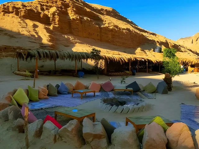 Sharm Camel Ride & Bedouin Dinner Desert Safari in Sharm El Sheikh — experience image 3 of 14