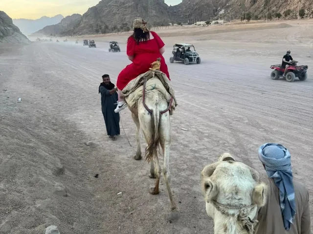 Sharm Camel Ride & Bedouin Dinner Desert Safari in Sharm El Sheikh — experience image 10 of 14