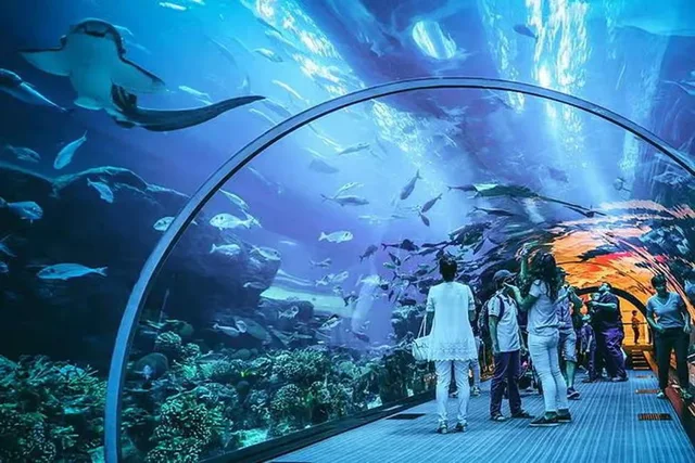 Dubai Aquarium & Underwater Zoo Tickets: Silver, Gold & Encounters in Dubai — experience image 13 of 14
