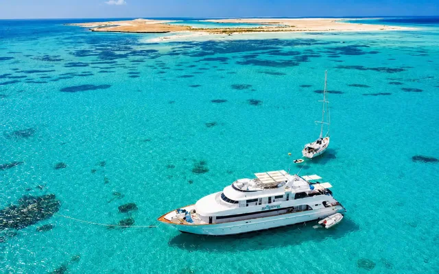 Ras Mohammed & White Island Snorkeling Tour from Sharm in Sharm El Sheikh — experience image 32 of 41