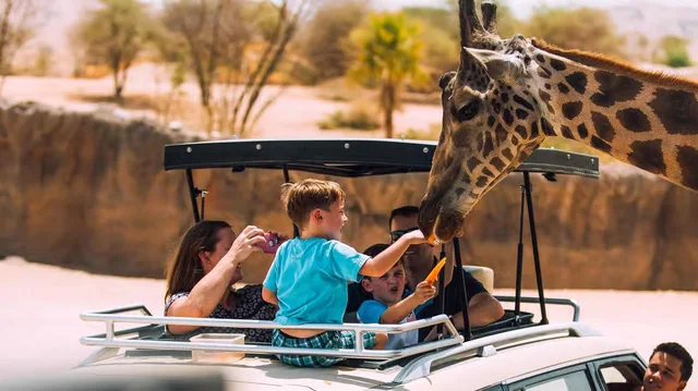 Al Ain Zoo Tickets: General Admission, Safari Truck & Private SUV in Al Ain — experience image 22 of 23