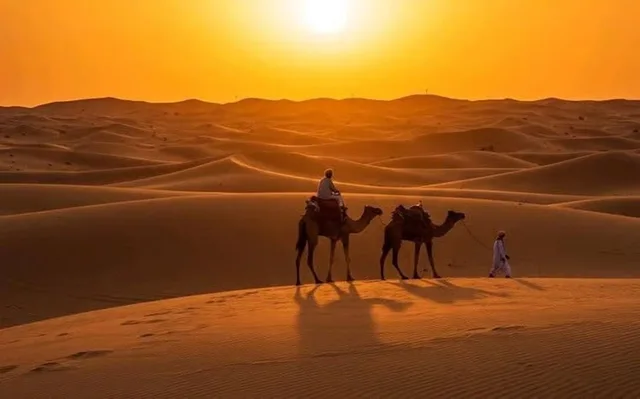 Abu Dhabi Luxury Desert Overnight: Tent Stay & Sunrise Camel Ride in Al Ain — experience image 2 of 4