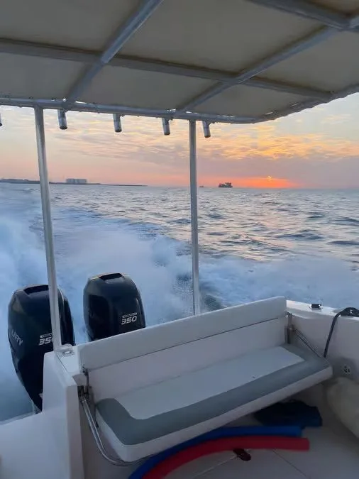 Private Coastal Cruise Ras Al Khaimah with Soft Drinks in Ras Al-Khaimah — experience image 3 of 5