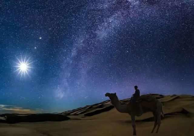 Doha Night Desert Safari: Dunes, Camel Ride & Stargazing in Doha — experience image 4 of 11