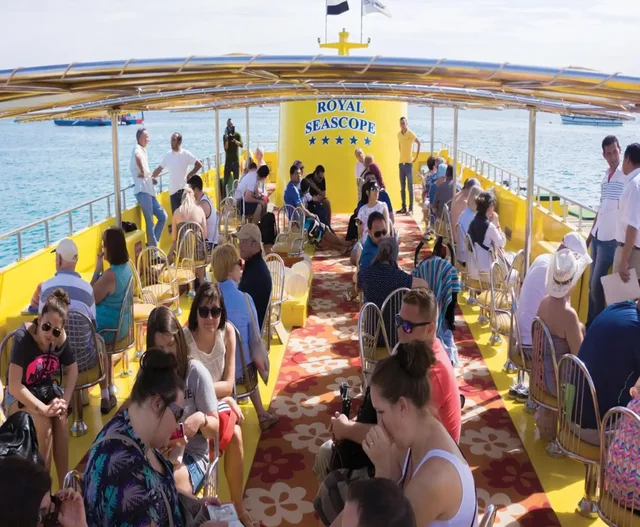 Taba to Sharm Glass-Bottom Boat: Reef Viewing in Taba — experience image 11 of 17