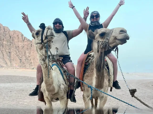 Sharm Camel Ride & Bedouin Dinner Desert Safari in Sharm El Sheikh — experience image 9 of 14
