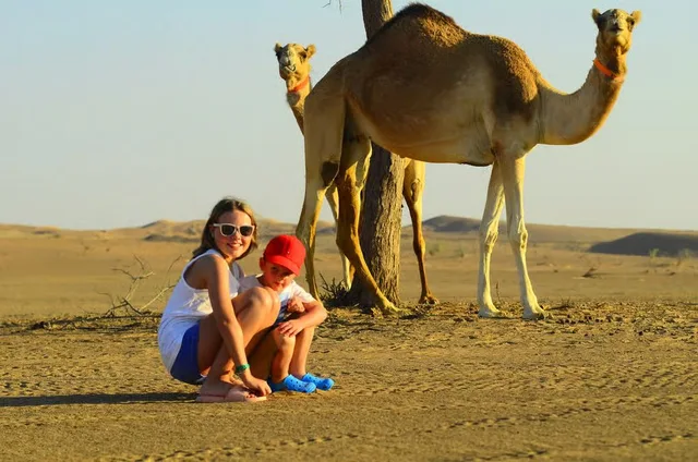 Ras Al Khaimah Evening Desert Safari with BBQ at Bedouin Oasis in Ras Al-Khaimah — experience image 11 of 15