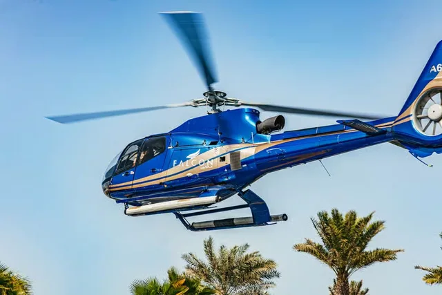 Dubai Helicopter Tour from Atlantis: Palm Jumeirah Sightseeing in Dubai — experience image 8 of 16