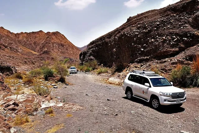 Private Desert Tour from Dubai to Wadi Shawka with Picnic in Dubai — experience image 2 of 7