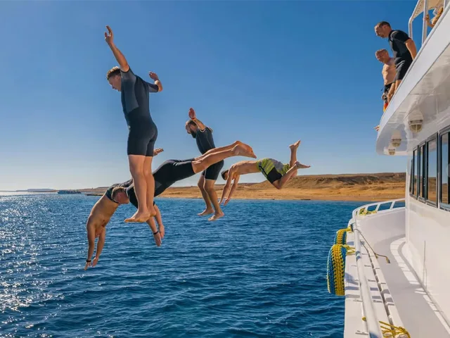 Tiran Island Snorkeling Cruise from Sharm with Lunch in Sharm El Sheikh — experience image 6 of 13