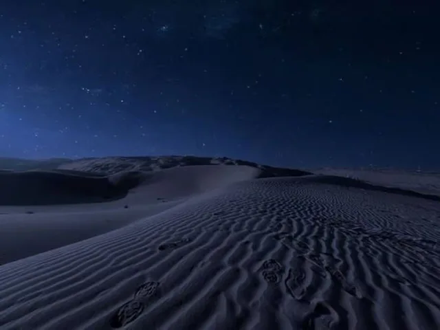 Doha Night Desert Safari: Dunes, Camel Ride & Stargazing in Doha — experience image 8 of 11