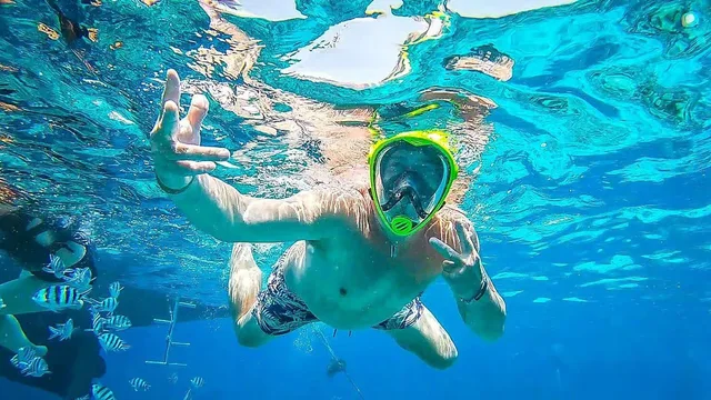 Ras Mohammed & White Island Snorkeling Tour from Sharm in Sharm El Sheikh — experience image 3 of 41