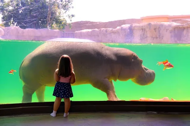 Dubai Safari Park Tickets: Park Pass & Explorer Safari Bundle in Dubai — experience image 13 of 16