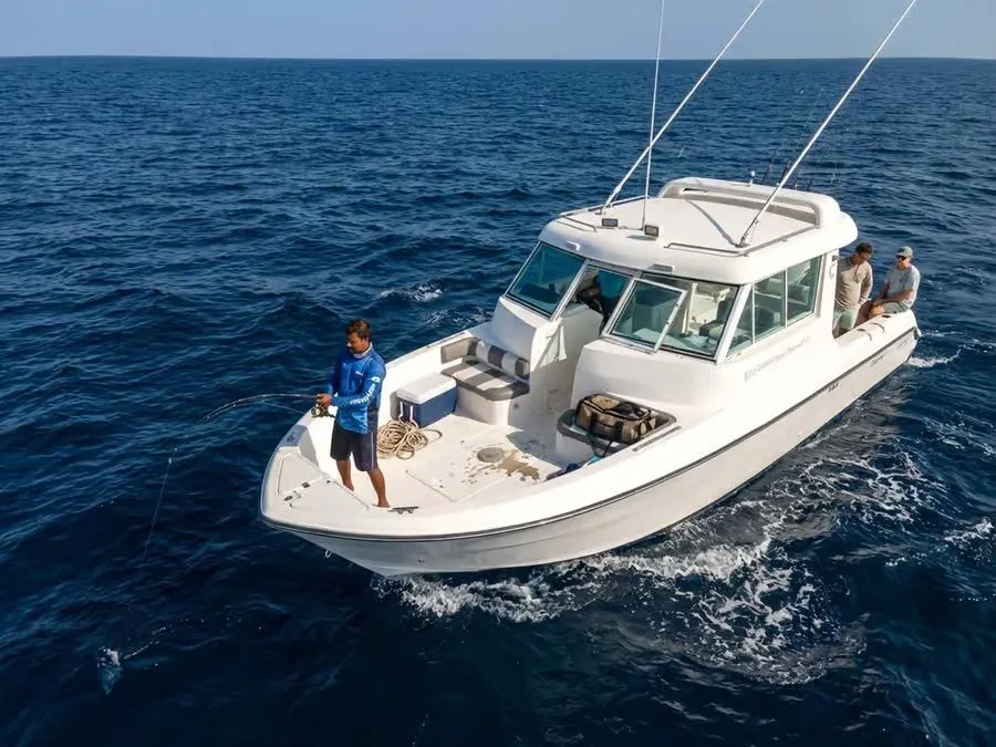 Abu Dhabi Private Fishing Trip: Four-Hour Boat & Captain experience in Abu Dhabi