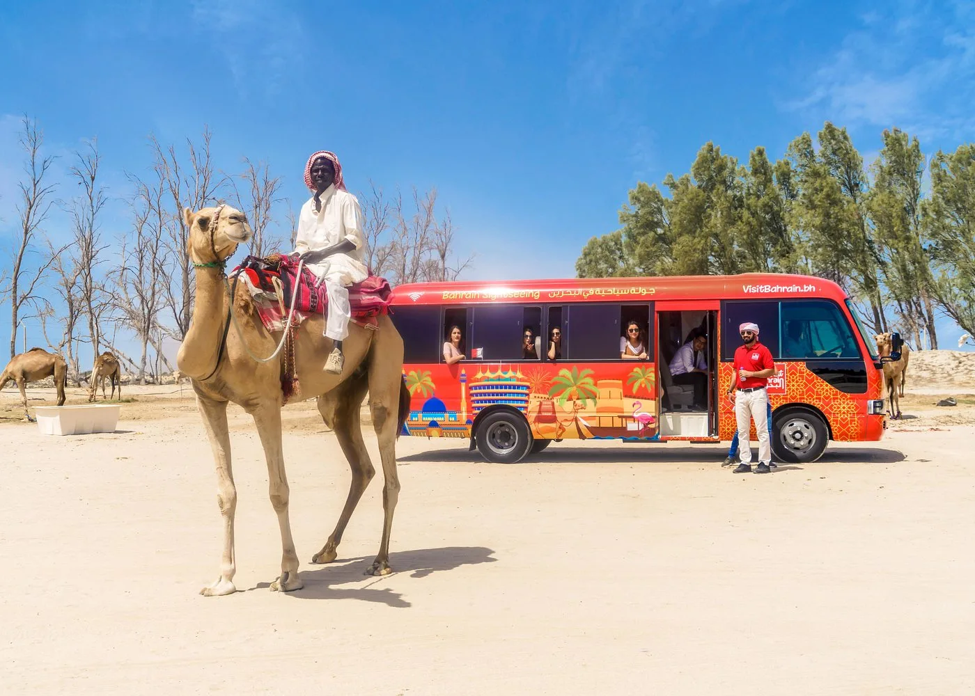 Bahrain City Tour with Transfers: Fort, Souq & Museum Options experience in Manama