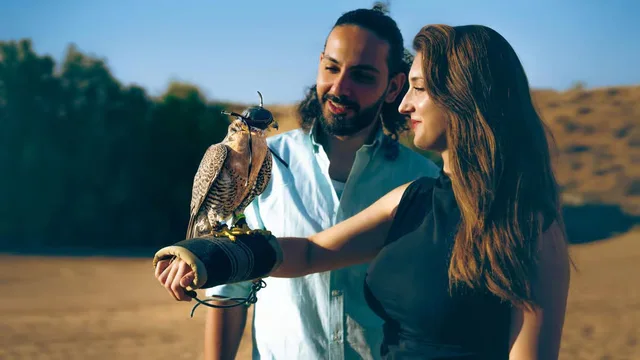 Dubai Heritage Desert Safari by Vintage Land Rover with Dinner in Dubai — experience image 3 of 26