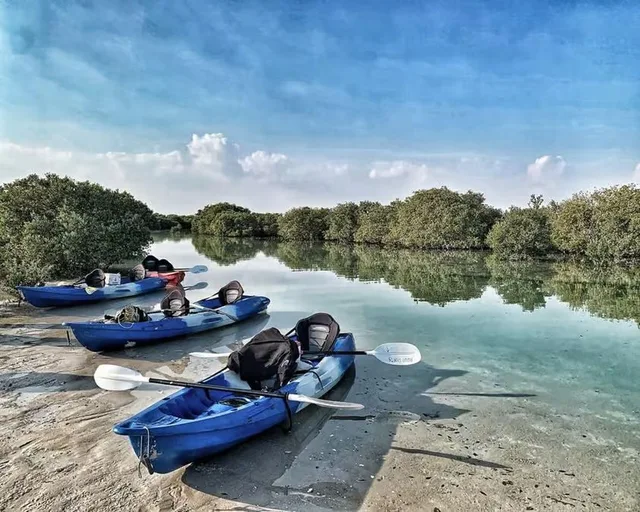 Al Thakira Mangrove Kayaking Tour from Doha in Doha — experience image 4 of 11