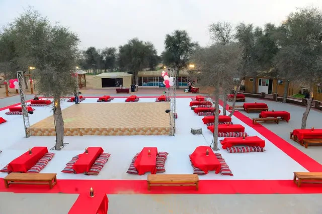 Ras Al Khaimah Evening Desert Safari with BBQ at Bedouin Oasis in Ras Al-Khaimah — experience image 15 of 15